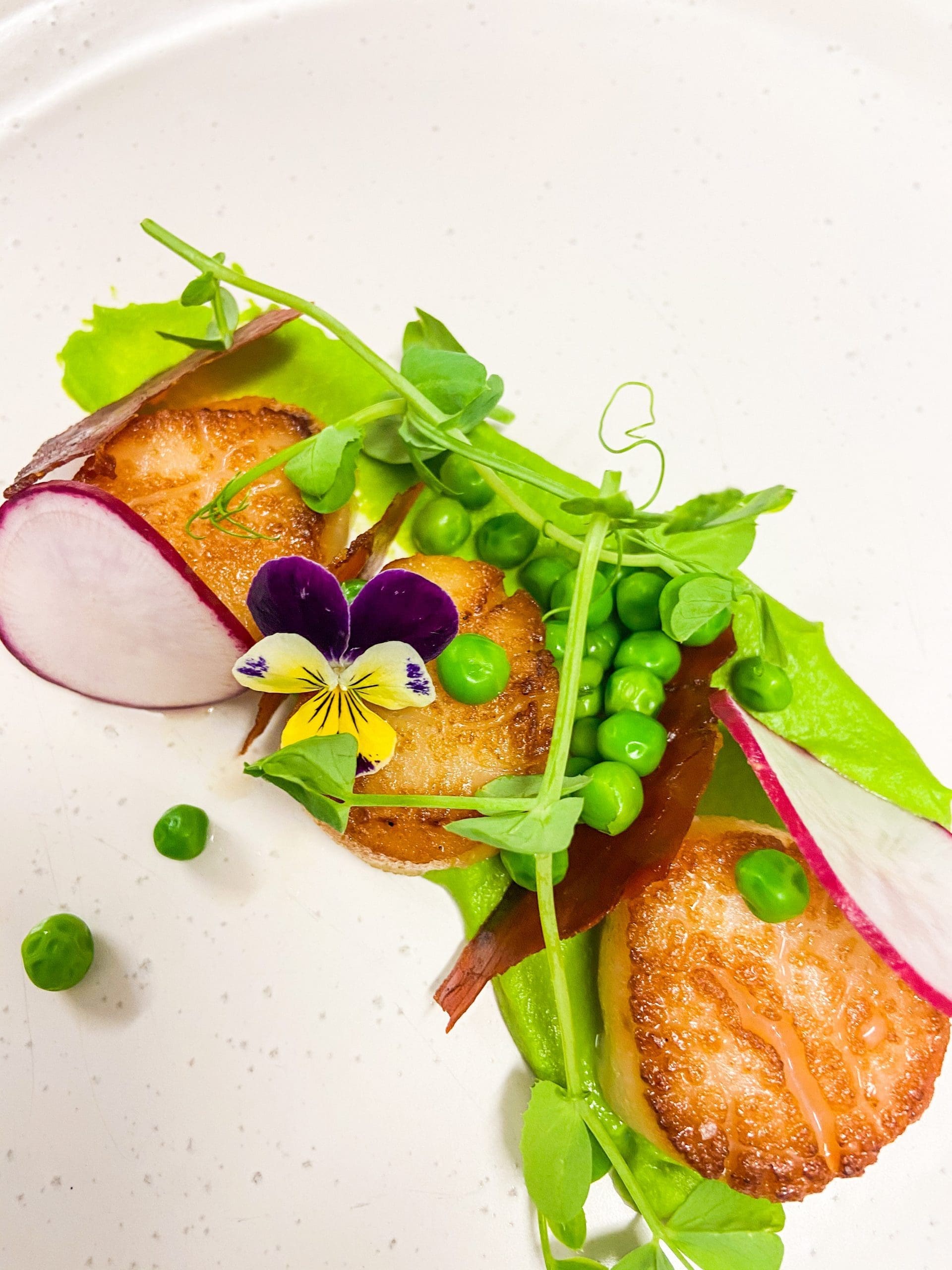 How to have a COVID safe wedding in Sydney Scallops - plated entree wedding catering
