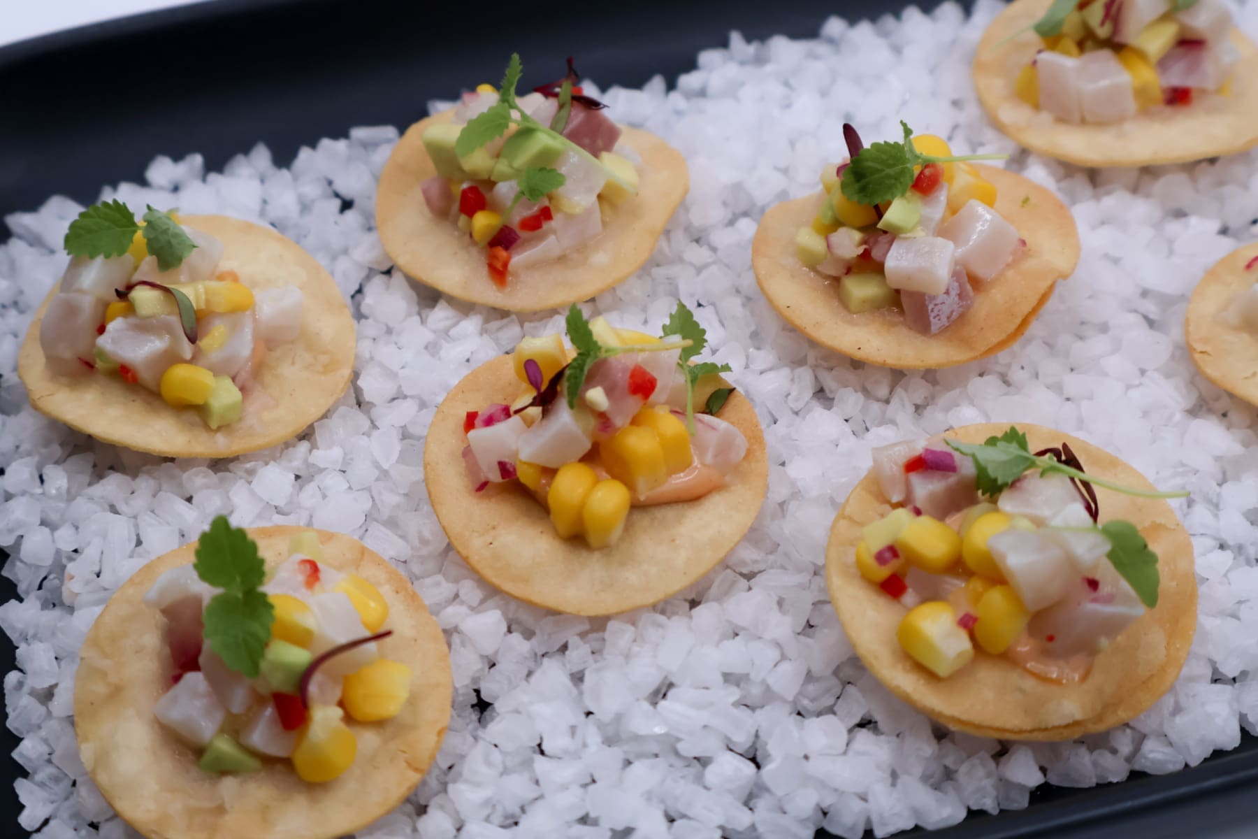 Canape Catering in Sydney