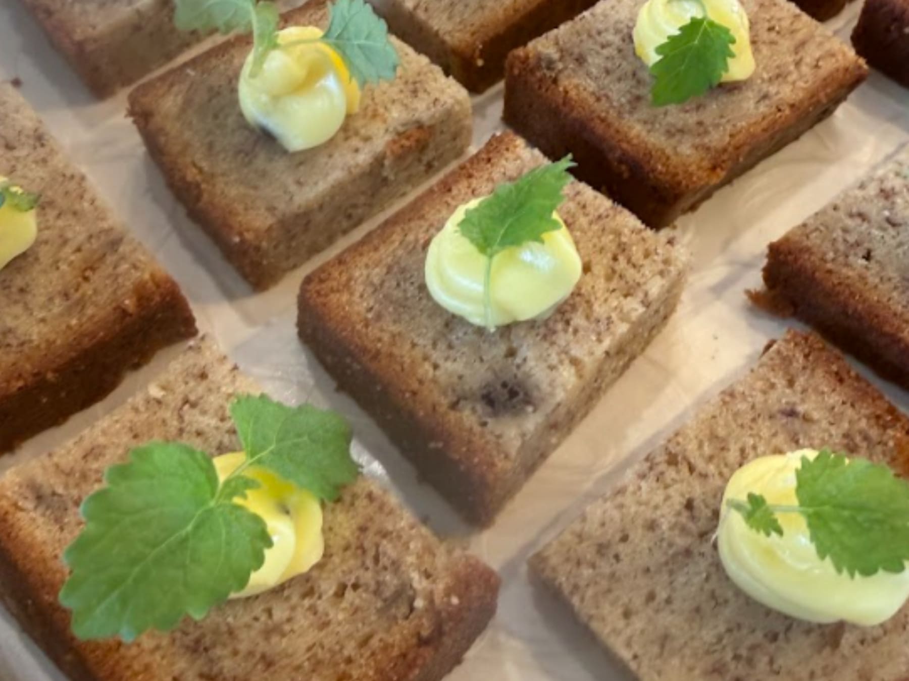 Speedo Australian Swim Team Uniform Launch Banana bread canapés served aboard the Sydney Harbour ferry