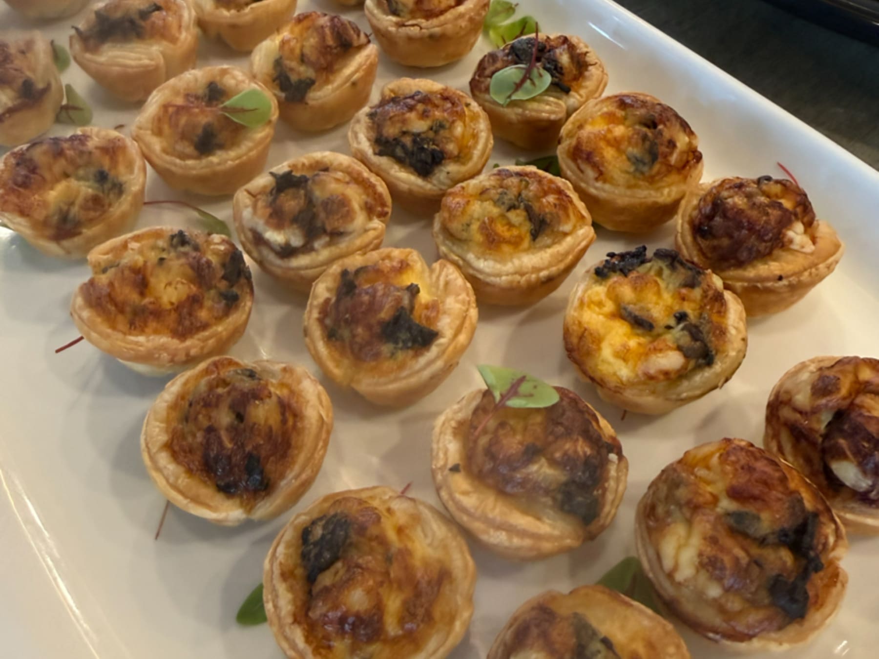 Speedo Australian Swim Team Uniform Launch Morning tea catering for the Speedo corporate event